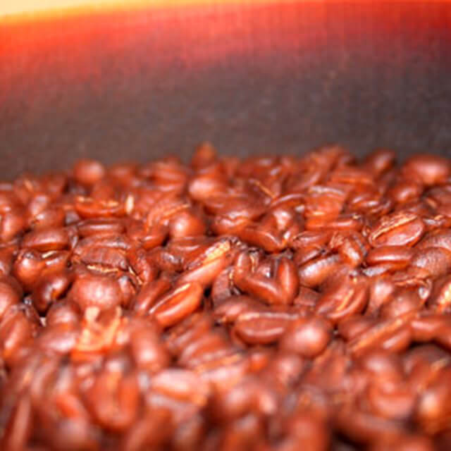 アラビカ種の珈琲豆